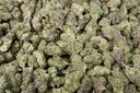 LA Pop Rocks Indoor Mediums