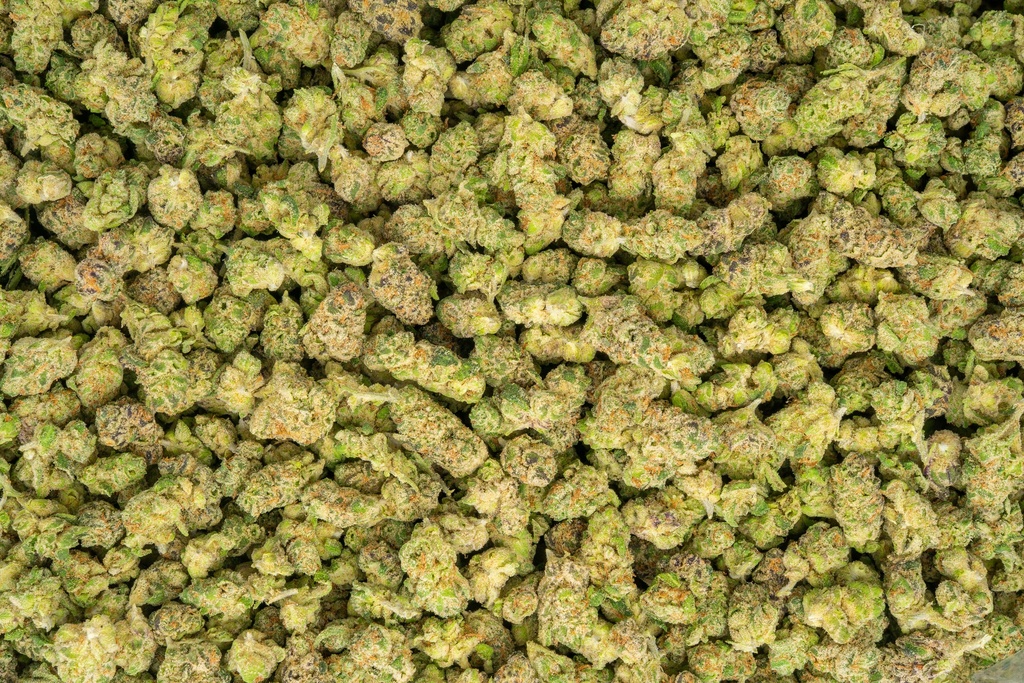 LA Pop Rocks Indoor Smalls