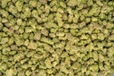 LA Pop Rocks Indoor Smalls