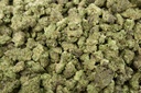 Space Ghost Smalls