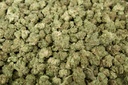 Turtle Pie Smalls