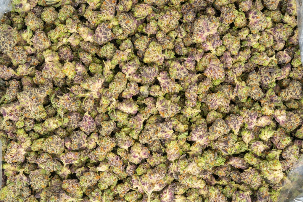 White Truffle Indoor Smalls