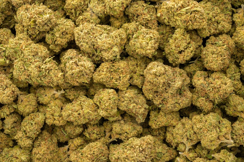 Animal Face Sherbert