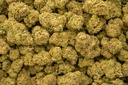Animal Face Sherbert