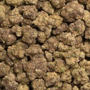 Black Domina Indoor