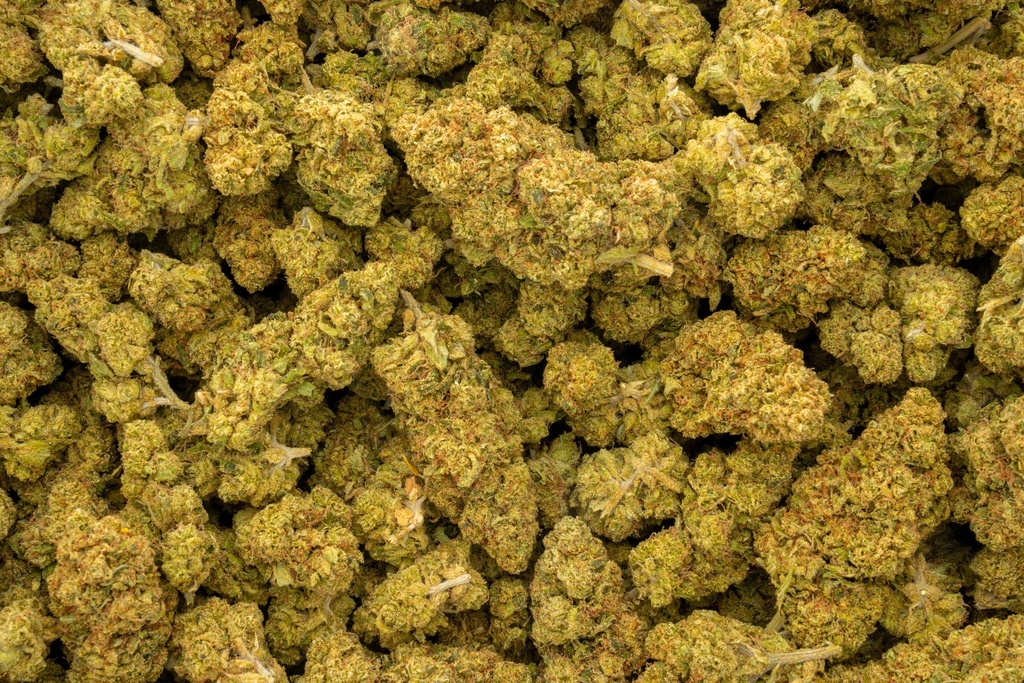Hell's Angel OG