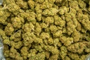 Hell's Angel OG