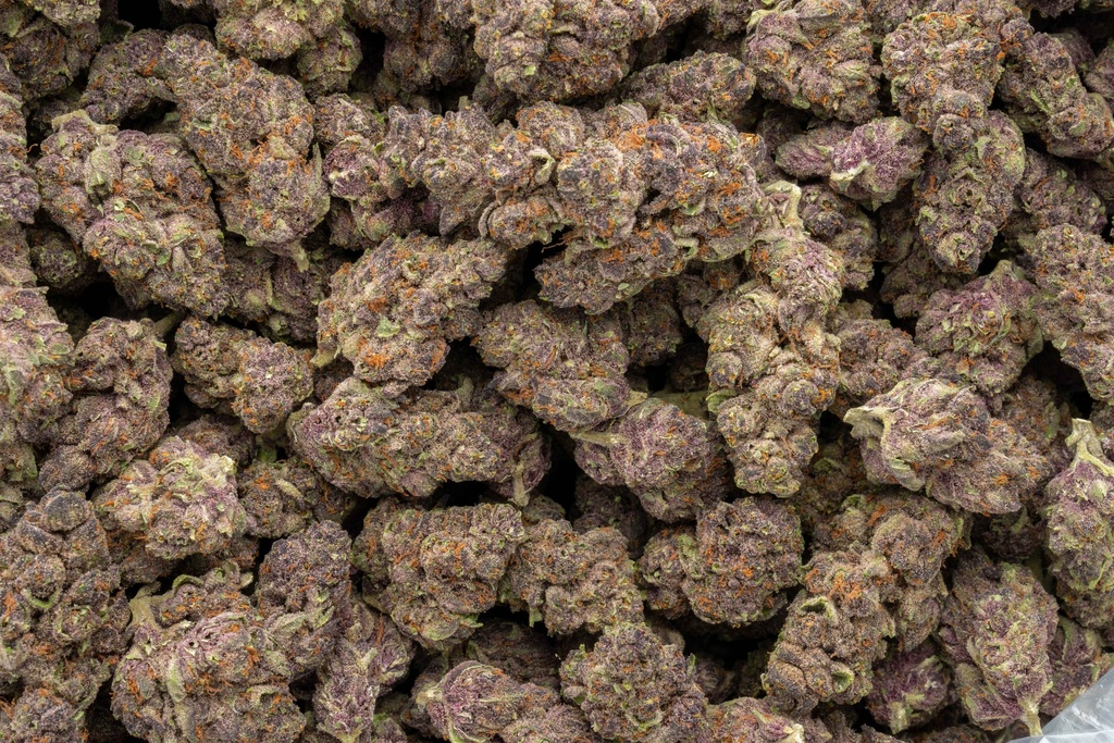 Tropicana Cherry