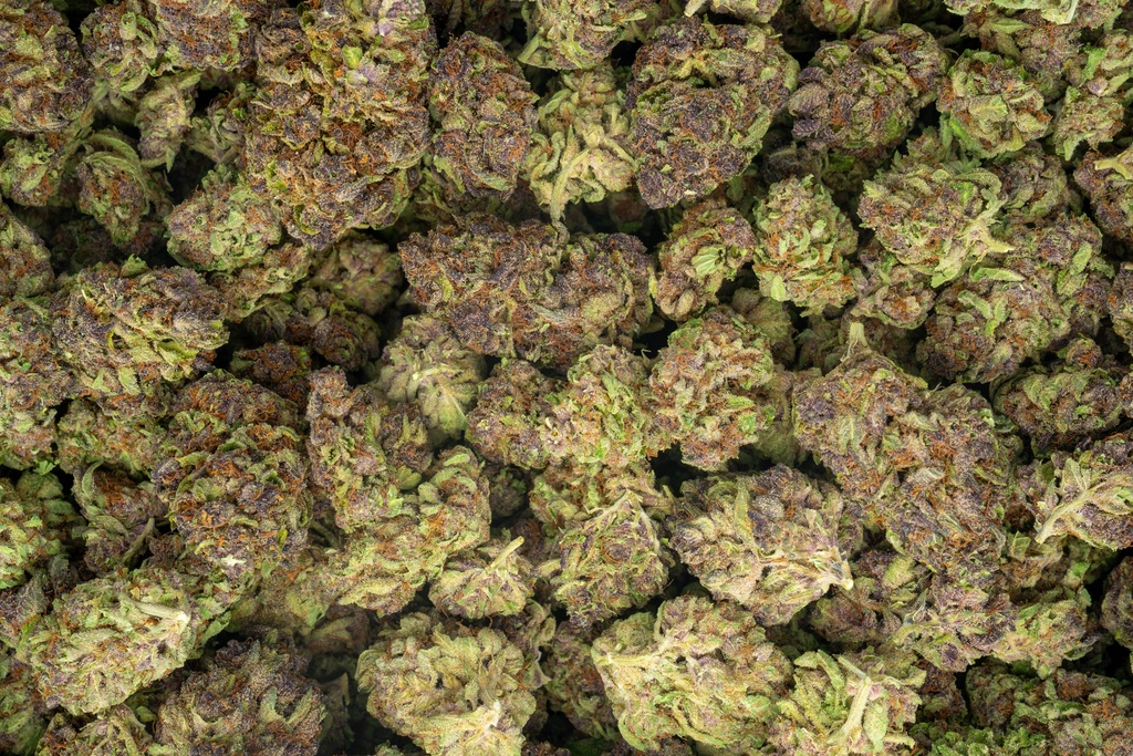 Tropicana Cherry