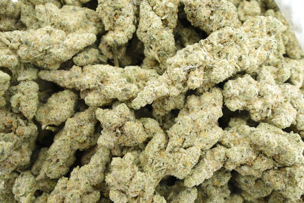 Frosted Freak Indoor
