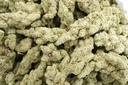 Frosted Freak Indoor