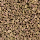 Candy Paint Indoor Smalls