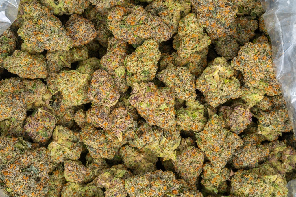 Candy Paint Indoor 
