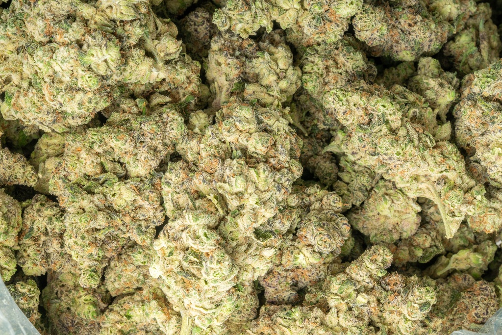 LA Pop Rocks Indoor