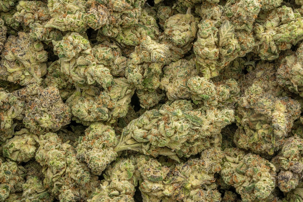 LA Pop Rocks Indoor