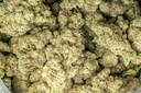 LA Pop Rocks Indoor