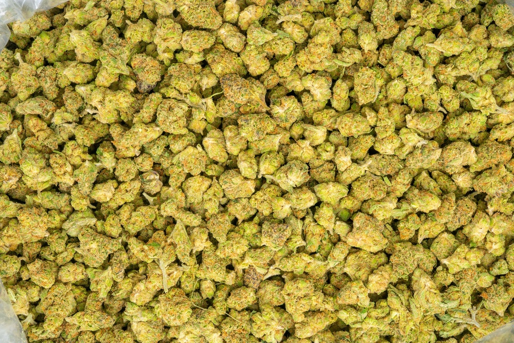 Agent Orange Indoor Smalls
