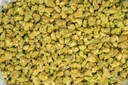 Agent Orange Indoor Smalls