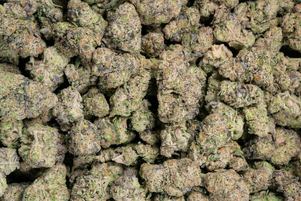 Lemon Bars Indoor