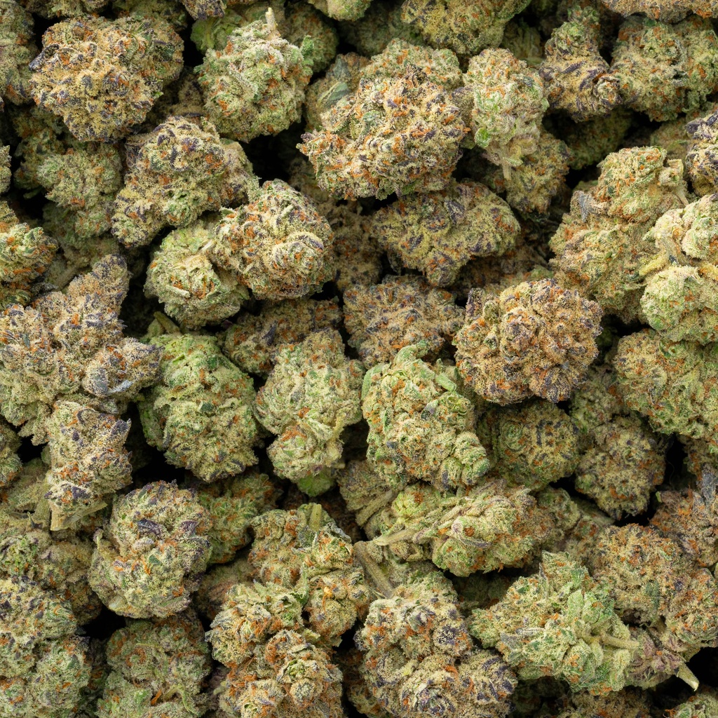 La Bomba Indoor