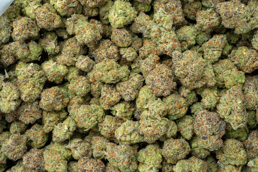 La Bomba Indoor