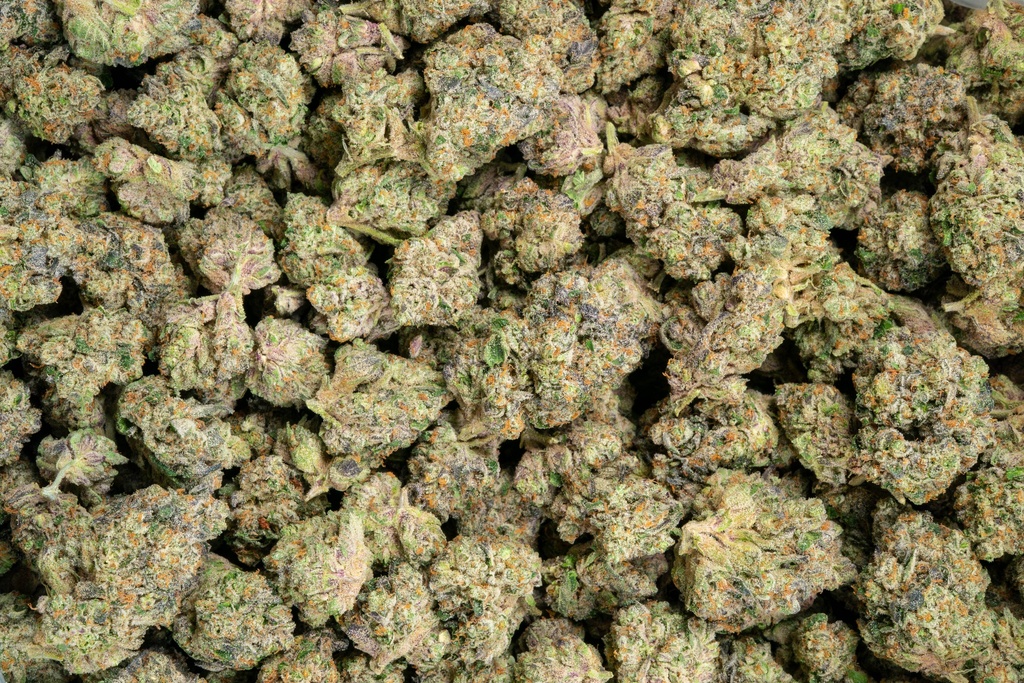 La Bomba Indoor