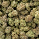 La Bomba Indoor