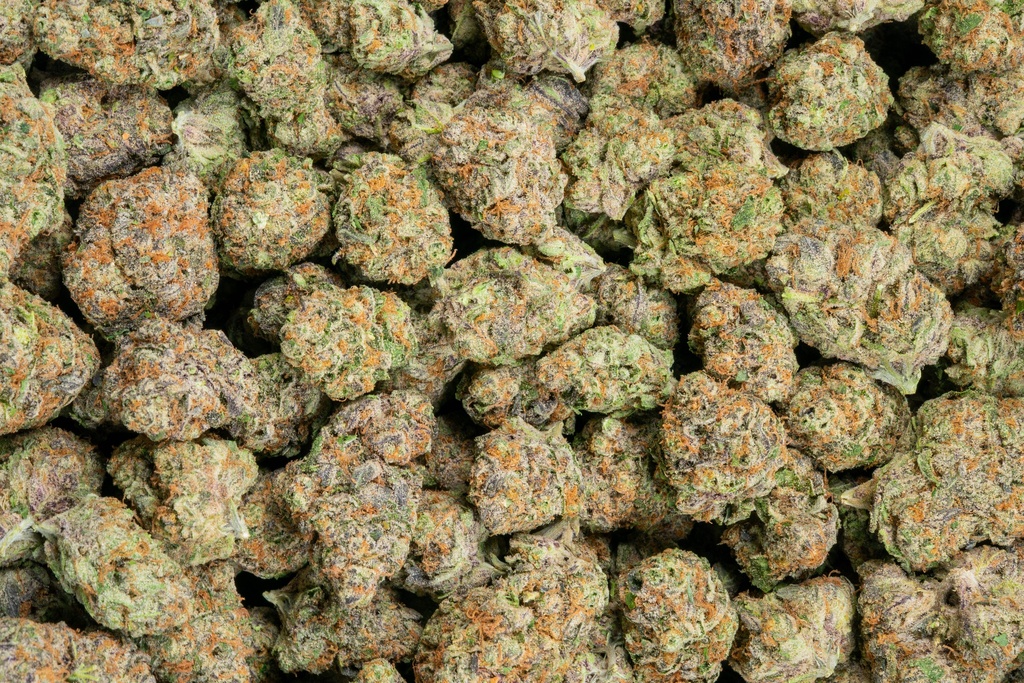 Blueberry Pancakes Indoor