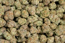 Blueberry Pancakes Indoor
