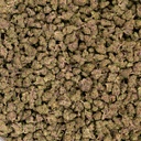 Candy Gelato Smalls