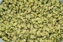 Dante's Inferno Indoor Smalls
