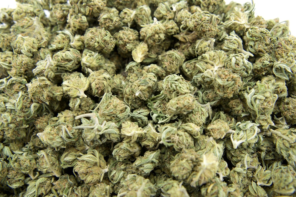 Diesel Smalls (CBD)