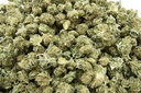 Diesel Smalls (CBD)