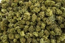 Cakeberry Brulee Smalls (CBD)