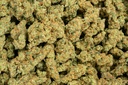 Future Haze Indoor