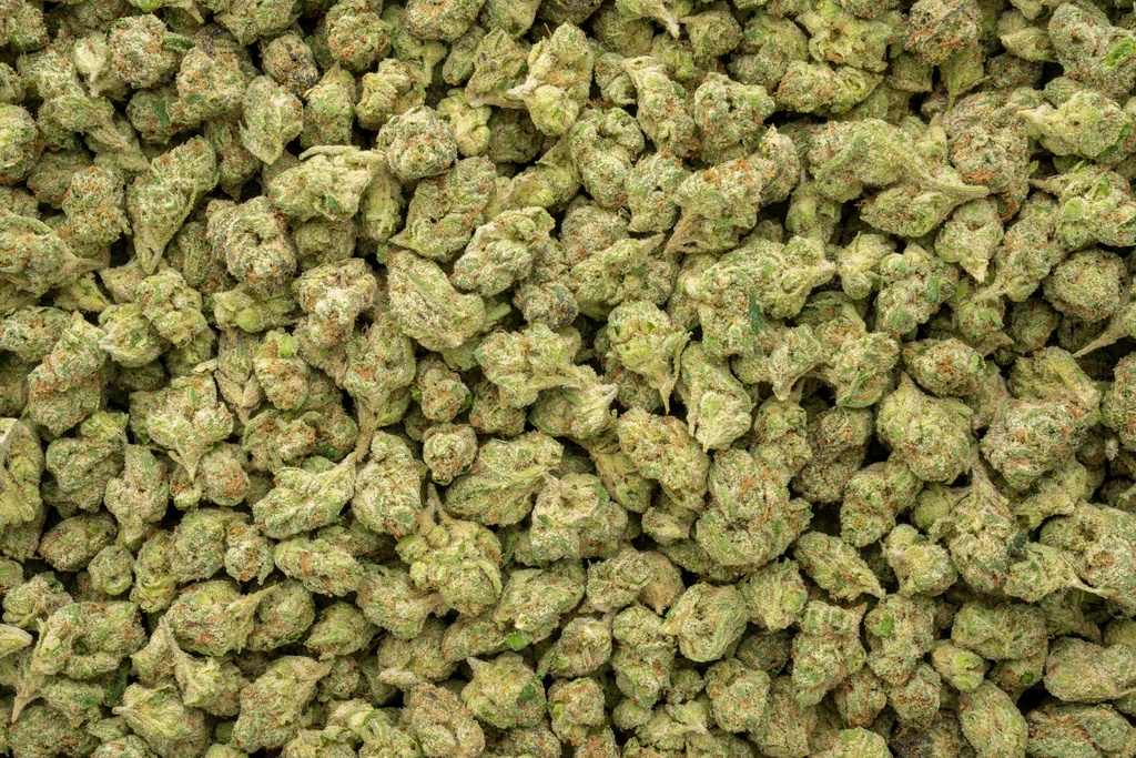 Black Sakura Indoor Smalls