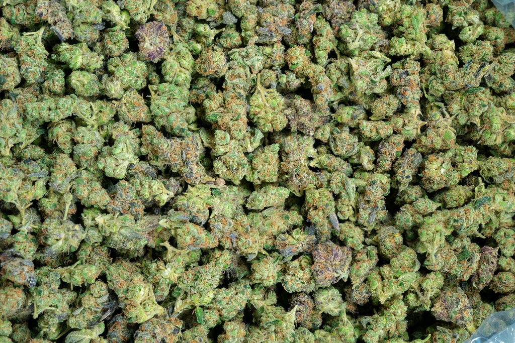 Slurty Indoor Smalls