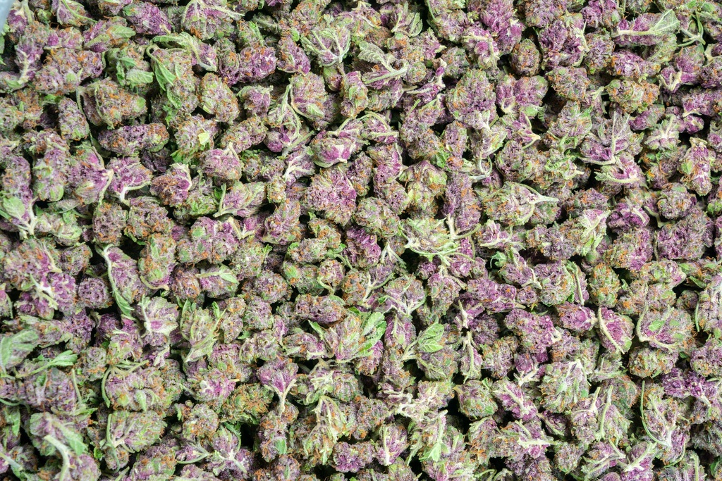 Blueberry Haze Smalls