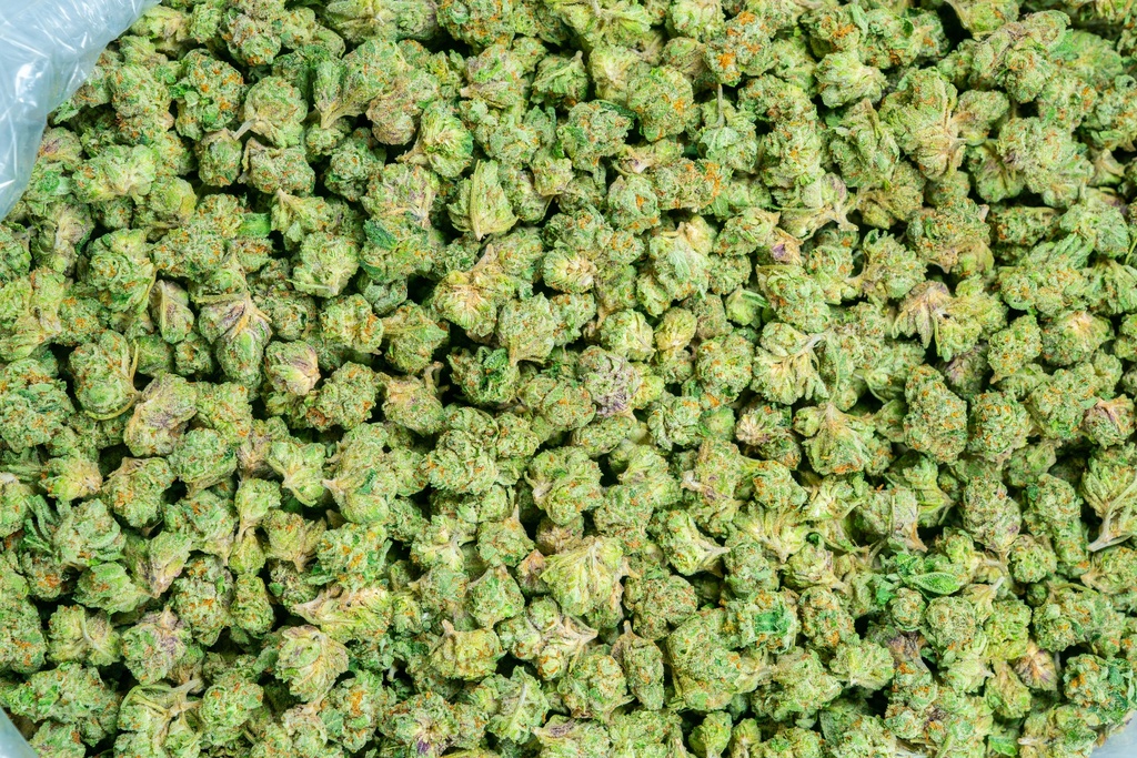 Gelato #33 Smalls
