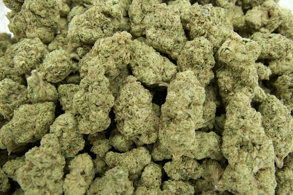 Red Bullz Indoor