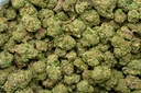 Jokerz Candy Indoor