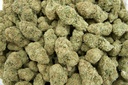 Mendo Train