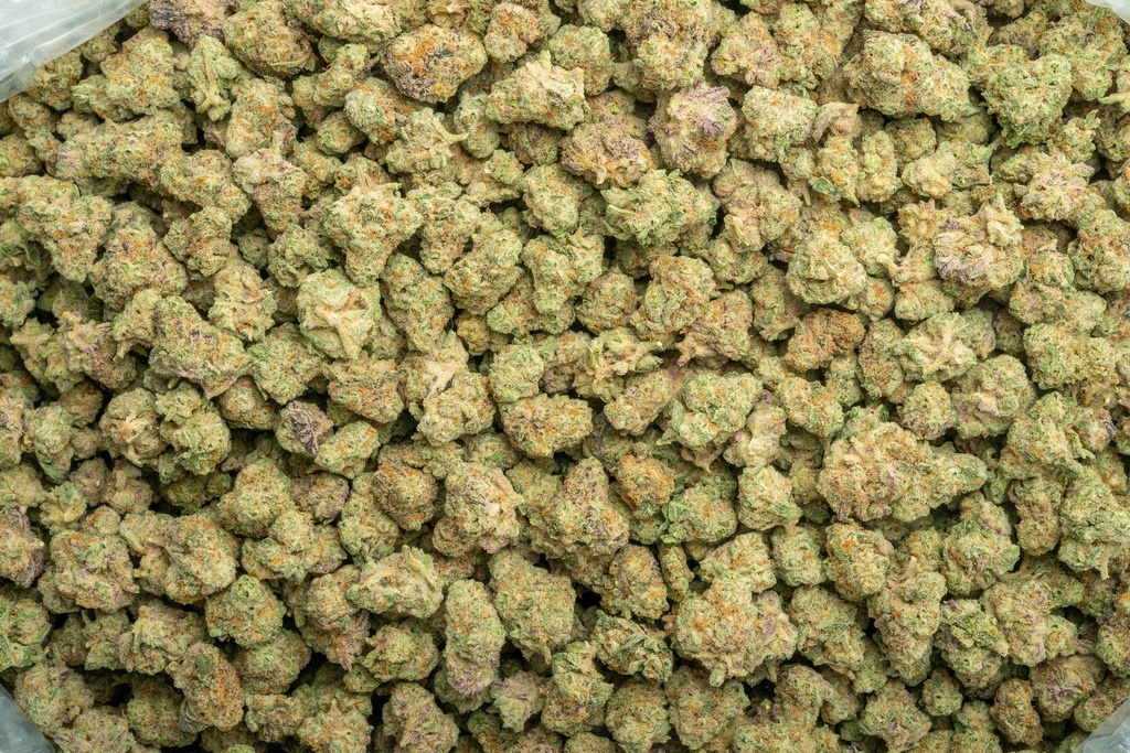 Durban Cookies Indoor Smalls