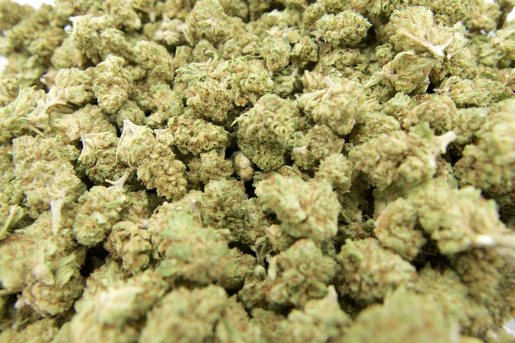 Chem Dawg Mediums (CBD)
