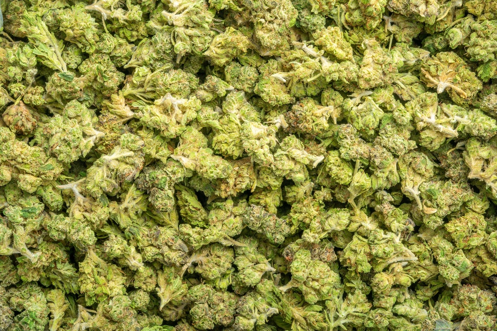 Gary Zkittles Mediums