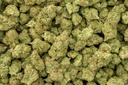 Bananaconda Indoor