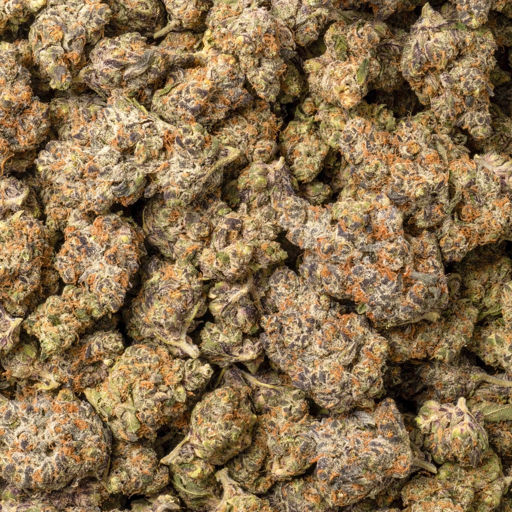 Lemon Slam Indoor