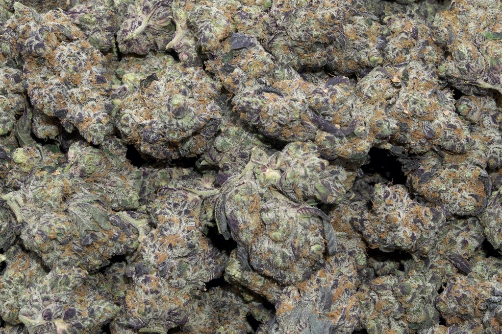 Lemon Slam Indoor