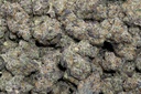 Lemon Slam Indoor