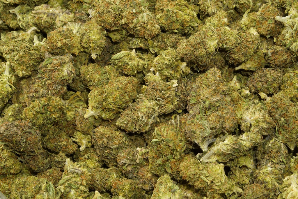 Cakeberry (CBD)